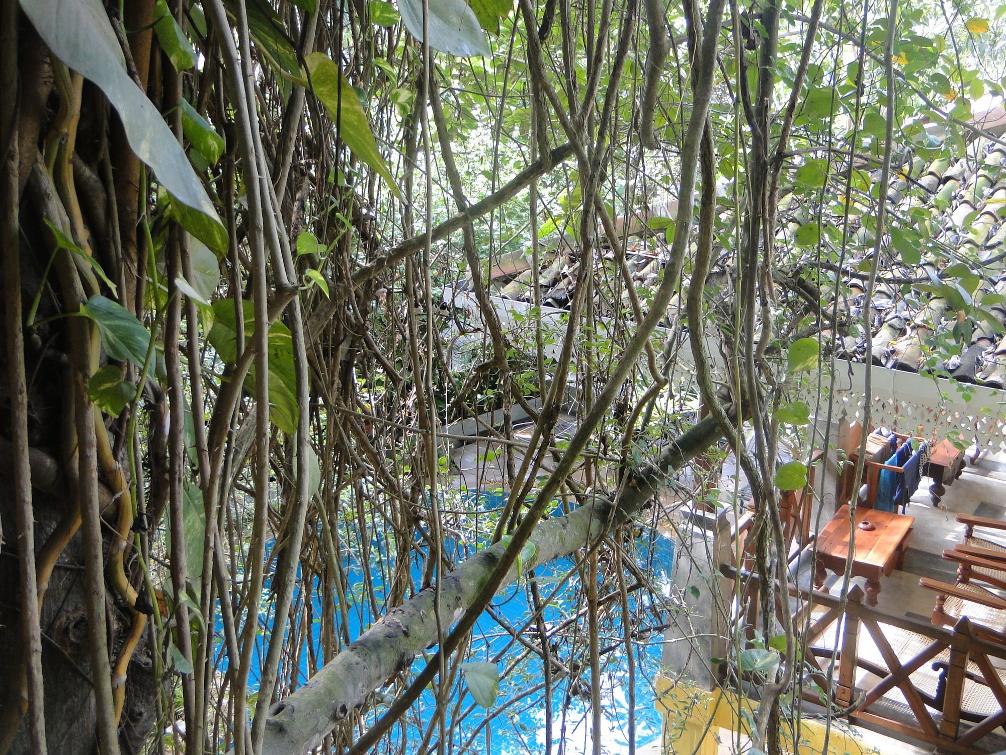 Hotel Thambapanni Retreat Unawatuna Exterior foto